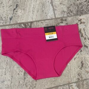 NWT Size L No Boundaries  Seamless Hipsters Pink Women's Shorts